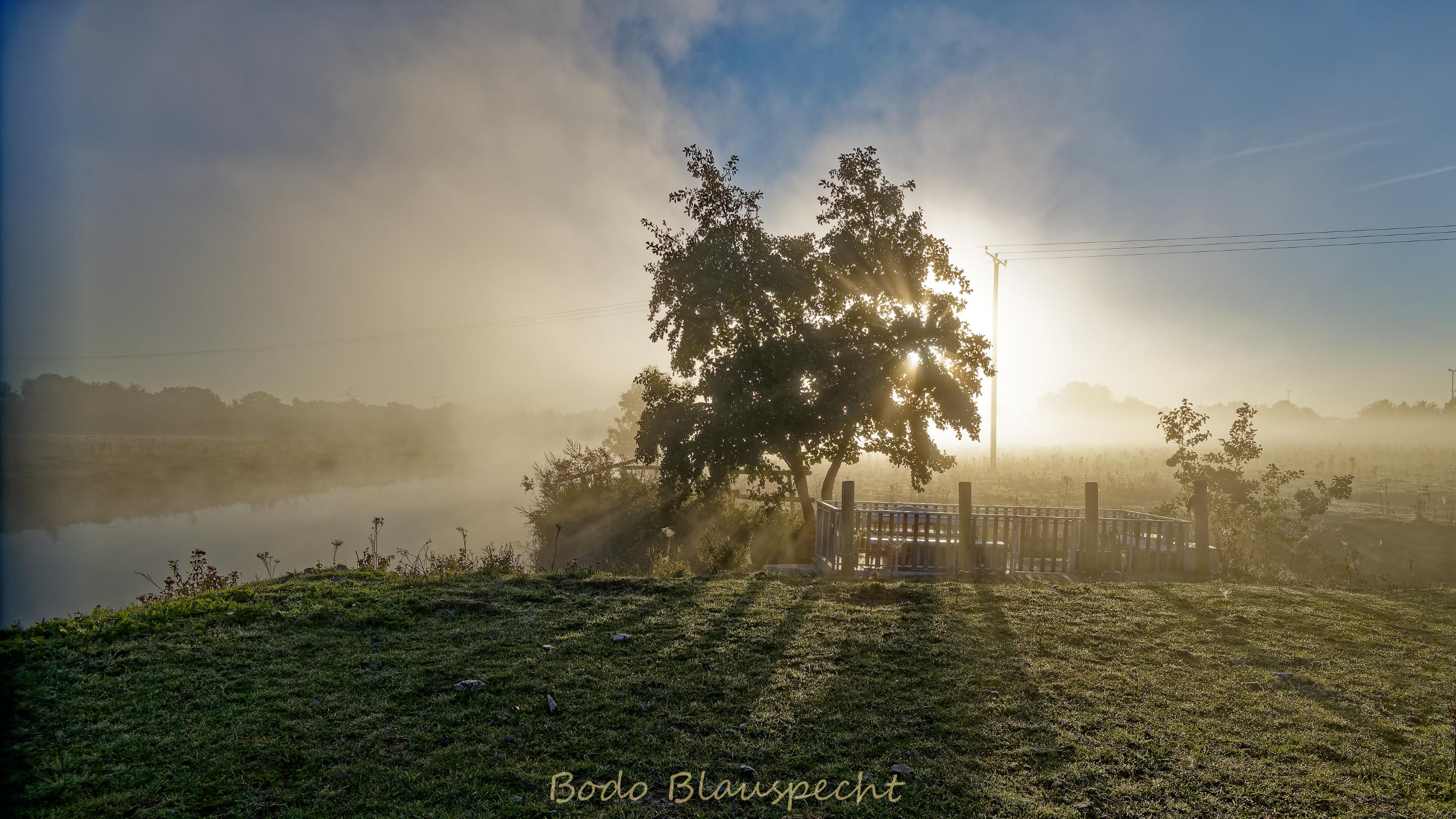 Landschaft   Steveraue   2018.09.30 08.15 101 HQ